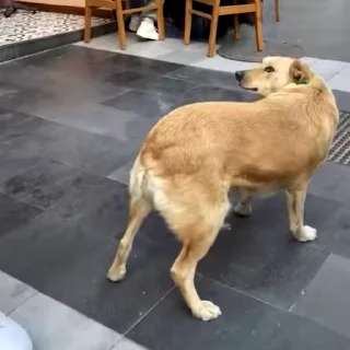 😒
