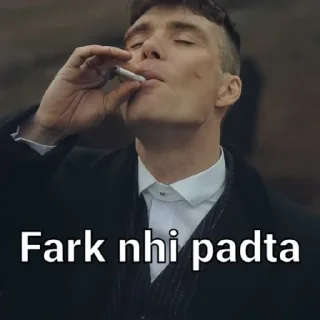 😼