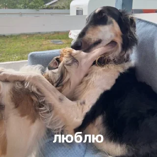 ❤️