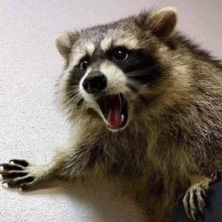 😡