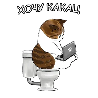 💩