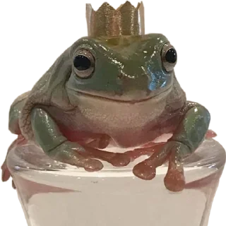 👑