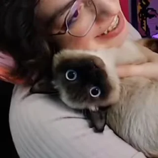 👁