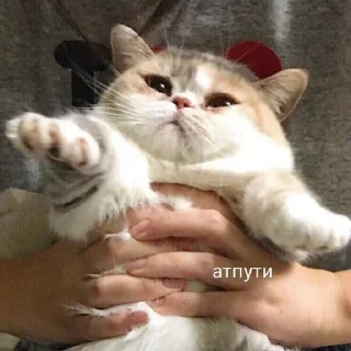 🥵