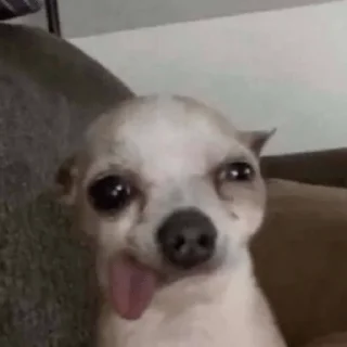 😋