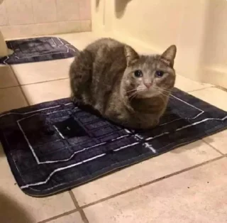 😥
