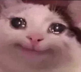 🥺
