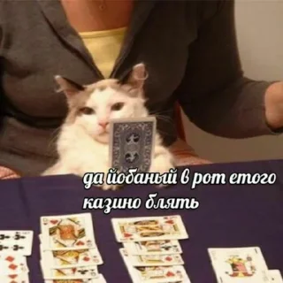 🃏
