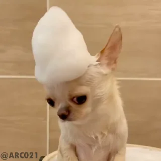 🙄