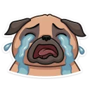 😭