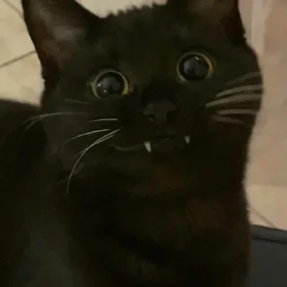 😆