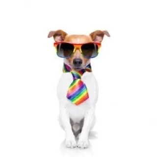 😎