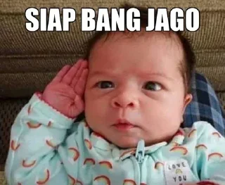 👍
