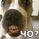 😟