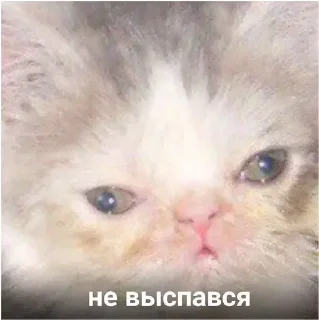 🥱
