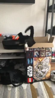😺