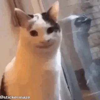 🙂