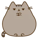 🐱