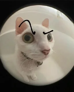 🤨