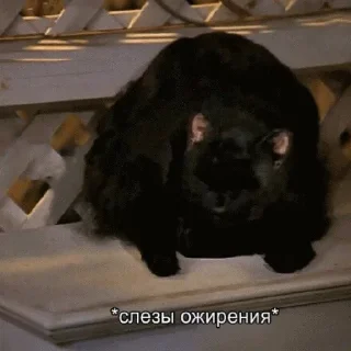 😪