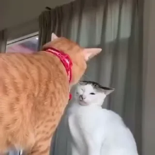👊