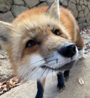 🙂