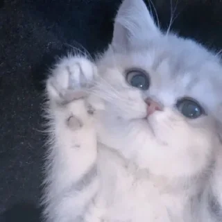 🤭