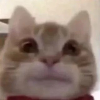 😃