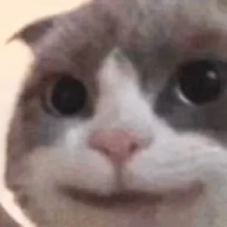 🙂