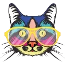 🐈