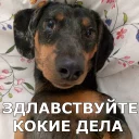 👋