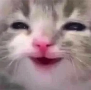 ☺️