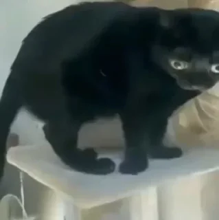 😰