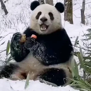 😋
