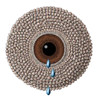 👁