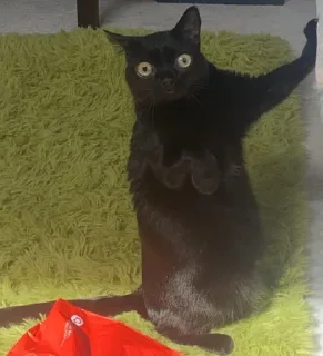 😳