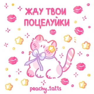 🐈