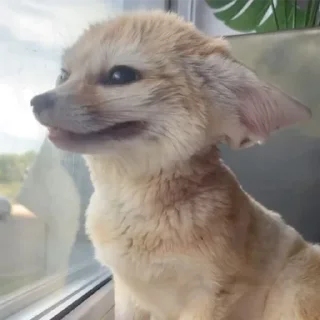 🙂