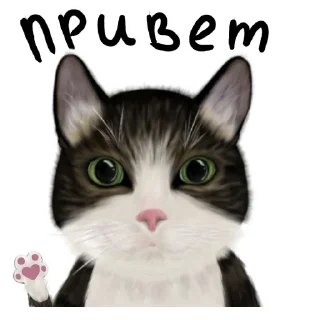 👋