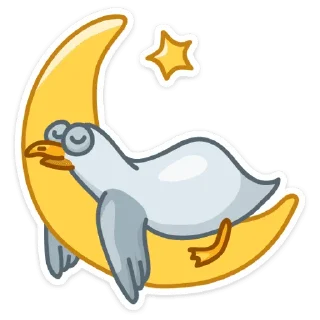 😴