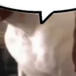 💬