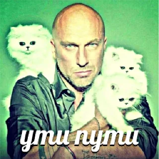 🐈