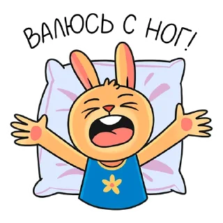 🛏