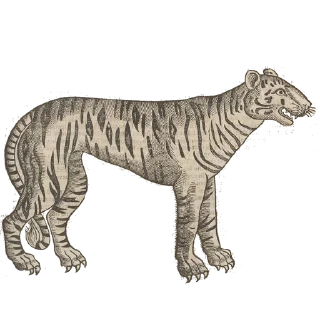 Art Animals @stickersb2b