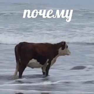 😥