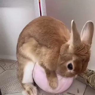 🤪