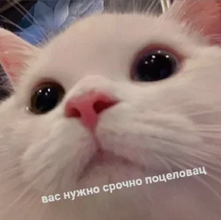 😶