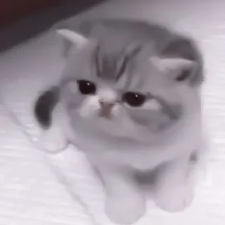 😴