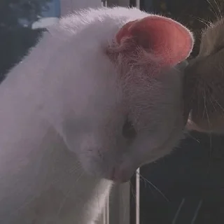 💜