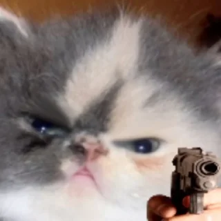 🔫